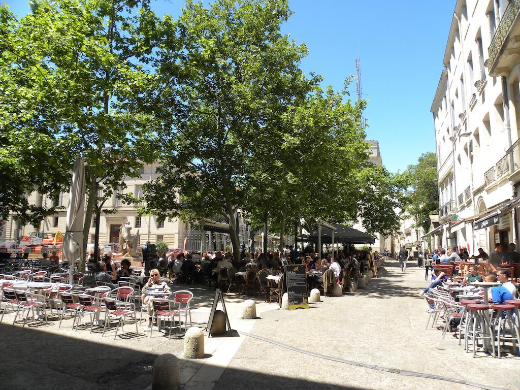 Апартаменти La Terrasse Du Marche Aux Fleurs Монпельє Екстер'єр фото